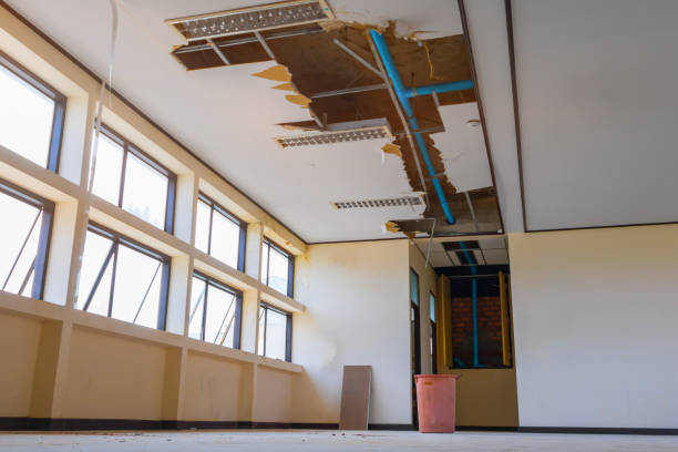 Best Water damage restoration near me  in Lake Andes, SD