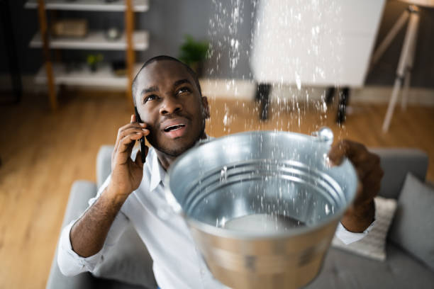 Best Professional water damage repair  in Lake Andes, SD