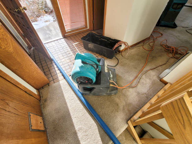 24/7 water damage repair in SD