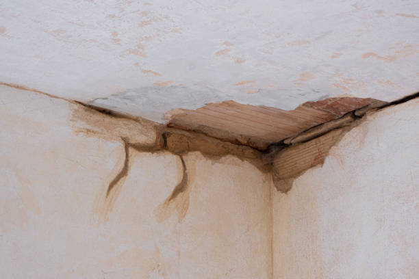 Best 24-hour water damage restoration  in Lake Andes, SD