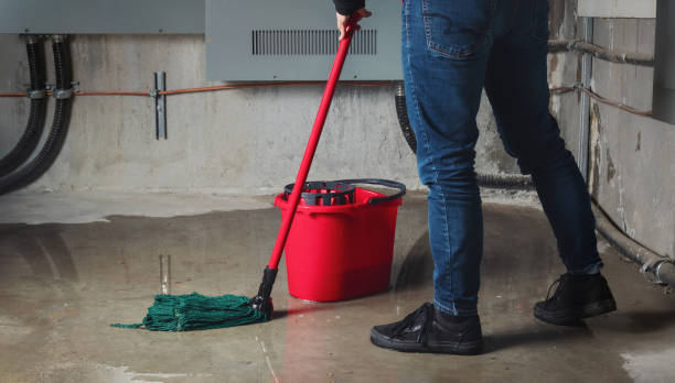 Best Residential water damage restoration  in Lake Andes, SD