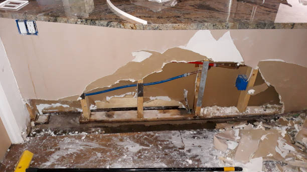 Best Flood damage cleanup  in Lake Andes, SD
