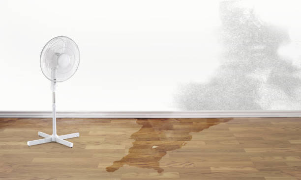 Best Residential water damage restoration  in Lake Andes, SD