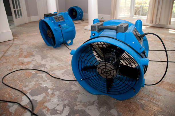 Best Flooded house restoration  in Lake Andes, SD