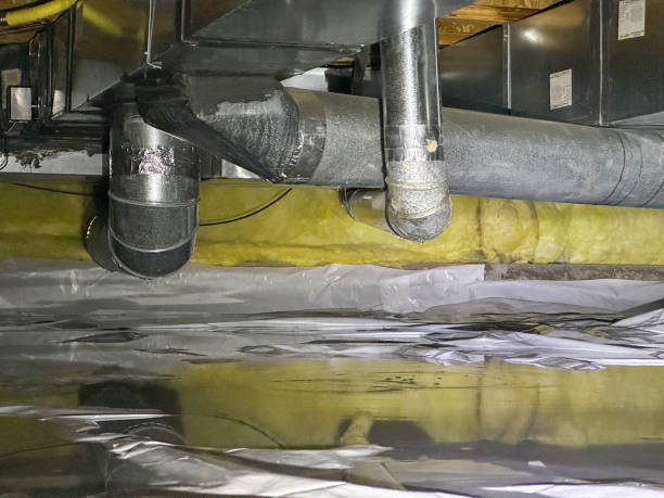 Best Water damage repair service  in Lake Andes, SD