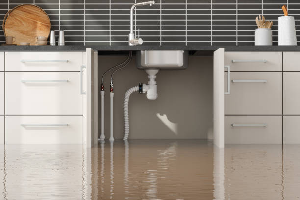 Best Sewage cleanup and water damage restoration  in Lake Andes, SD