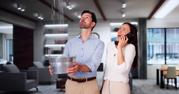 Best Water damage contractors near me  in Lake Andes, SD