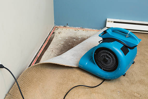 Best Local water damage restoration  in Lake Andes, SD